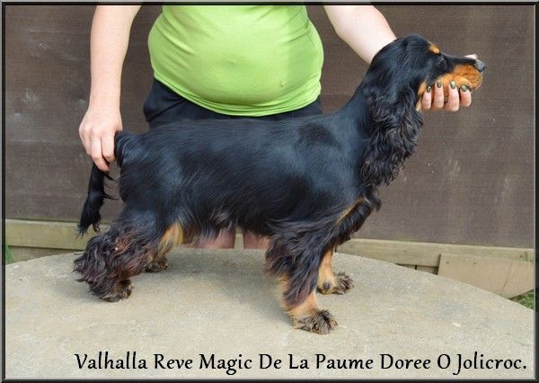 Valhalla reve magic De La Paume Doree O Jolicroc