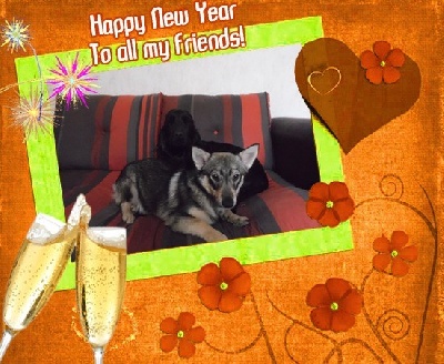 Of Enjoy's Paradise - Happy New Year !